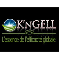 K'nGELL Ingenierie Logistique logo - Similar company to Youtechcare