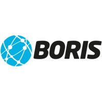 BORIS Software Ltd logo - Similar company to .