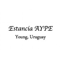 Estancia AYPE logo - Similar company to Hotel Nirvana Nueva Helvecia