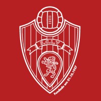 Sporting Clube de Linda-a-Velha 🔴⚪ logo - Similar company to Techdynamics