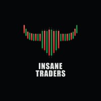 Insane Traders logo - Similar company to Pliris Capital Pvt. Ltd.