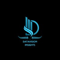 DataVision Insights logo - Similar company to Ka Uruora