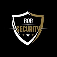 BOR SECURITY logo - Similar company to Mashe.