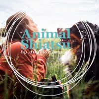 Animal Shiatsu by Angela Gamma logo - Similar company to Circustraum Conelli