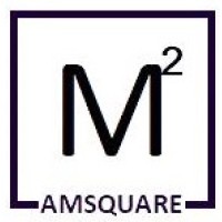 AmSquare Technology logo - Similar company to Source Advisory Services