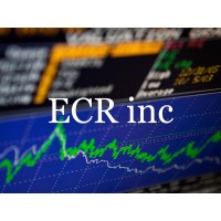 Emergent Capital Resource Inc. logo - Similar company to World Tree Link