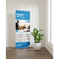 CABINET PROFESSIONNELS & ASSOCIES