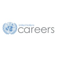 UN jobs in Egypt logo - Similar company to Giz Egypt