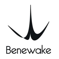 Benewake (Beijing) Co., Ltd. logo - Similar company to Neuvition, Inc