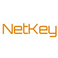 NetKey Internet Solutions logo - Similar company to .Defencewolf Cybersecurity & Intelligence
