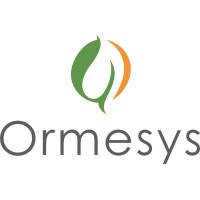 ORMESYS LTD logo - Similar company to Zerilli Executive Coaching & Consulting