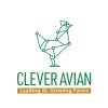 cleverAvian logo - Similar company to Technoable.Inc