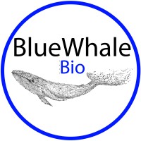 BlueWhale Bio logo - Similar company to Orchestra Life Sciences