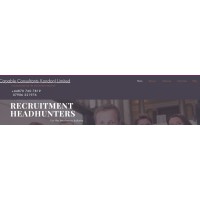 CAPABLE CONSULTANTS (LONDON) LIMITED logo - Similar company to Point Dume (Hk) Limited