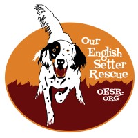 Our English Setter Rescue logo - Similar company to Carrierlists