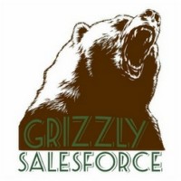 Grizzly Sales Force