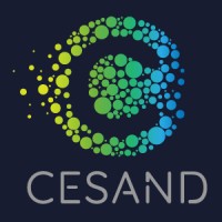 CESAND Diseño Informático y gráfico logo - Similar company to Imadigi