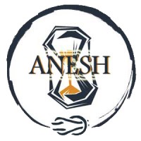 ANESH - Association Nationale des Etudiant.e.s en Sciences Historiques logo - Similar company to Cesim Santé