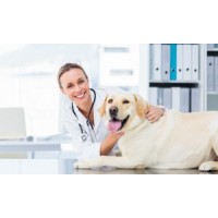 PENINSULA PET CLINIC INC logo - Similar company to Pretty Pet Clinic