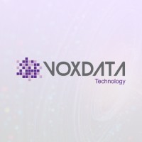 VoxData Technology logo - Similar company to Techlead It Solutions