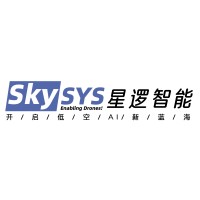 Skysys Intelligent Technology logo - Similar company to Re-Mall