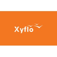 Xyflo logo - Similar company to Xyflow · React Flow · Svelte Flow