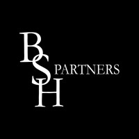 BSH Partners Oy - Corporate research and information services logo - Similar company to Nano By Paljon