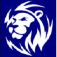Lion Digital Marketing logo - Similar company to Digital Tips Academy