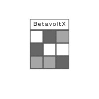 BetavoltX Technological Academy logo - Similar company to Icinfrastructure