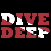 DeepDive Metrics logo - Similar company to Edgesurvey
