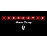TurnStyle Music Group logo - Similar company to Unscripted Blends Llc