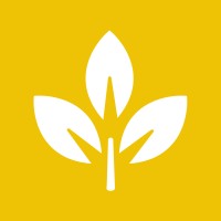 Voltaik logo - Similar company to Summo Quartile Consultoria