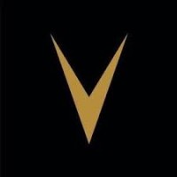 Starvilion logo - Similar company to Low Seat Hoong Sdn Bhd