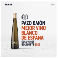 Pazo Baion logo - Similar company to True Spanish Experience