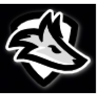 DIVE Inc logo - Similar company to Bmad