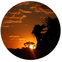 Mwaba Mwila Adventures logo - Similar company to Nkwashi