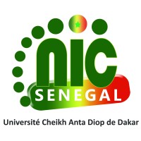 NIC Senegal logo - Similar company to One Yoon