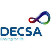 DECSA logo - Similar company to Mita Group Spa