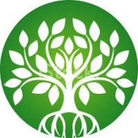 Lmc Management Ltd