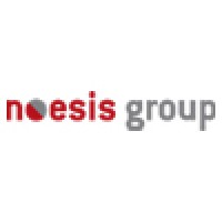 The Noesis Group logo - Similar company to Blacklight Solutions