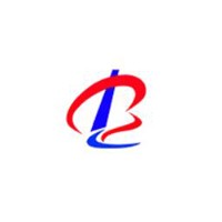 Shandong Baron New Materials logo - Similar company to Advent Packaging Sdn Bhd