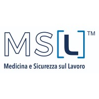 MSL Srl logo - Similar company to Lpd Day