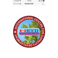 International Centre for Capacity Development ICCD logo - Similar company to Iccd
