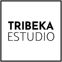 Tribeka Estudio logo - Similar company to Instronic Studio