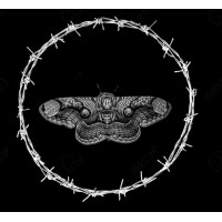Nachtfalter Collectif logo - Similar company to Tekhne Studio