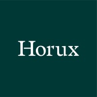 Horux Business Consulting logo - Similar company to Monarch Business Consulting