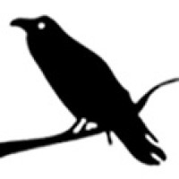 A Little Bird, LLC logo - Similar company to Anilocus, Inc.