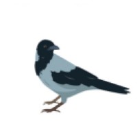 Grey Crow Regulatory Consulting, L.L.C. logo - Similar company to Destructdata, Inc.