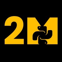 2M Python Dev logo - Similar company to M-Consultants
