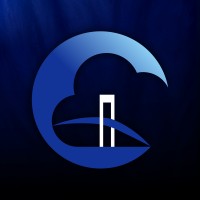 Cirrus Bridge logo - Similar company to Precium